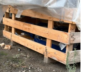 Seepex Bn2-12 Tek Kademeli İleri Yönlü Vidalı Pompa